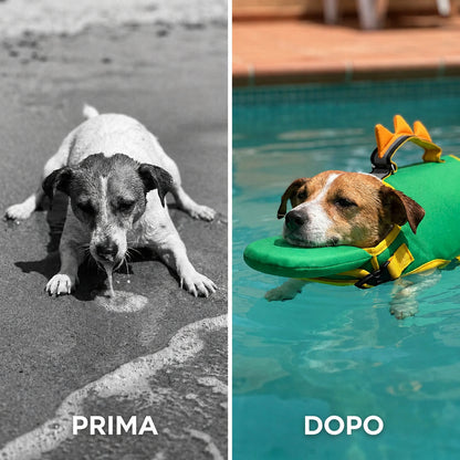 【Your Exclusive Discount】Dog Life Jacket