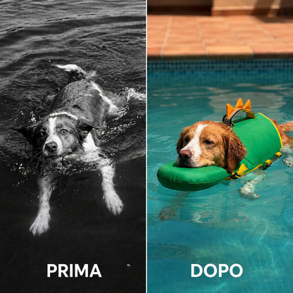 【Your Exclusive Discount】Dog Life Jacket